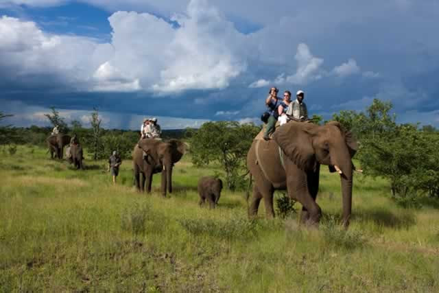 Tourism growth hinges on regulatory stability, safari operators say