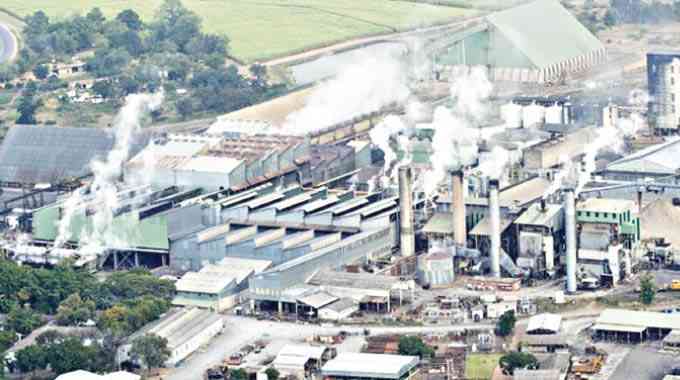 Hippo prioritises exports in H2 as PAT slips