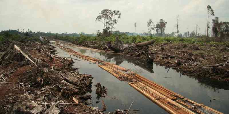 Environmental accountability: Reframing the debate on Chinese companies in Zimbabwe