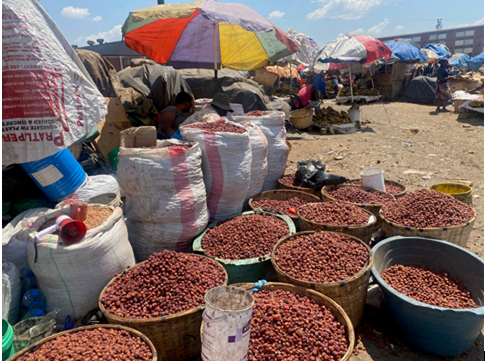 Transporters as unique knowledge brokers in African markets and food systems