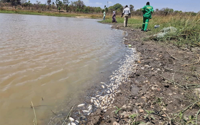 EMA probes fish deaths in Makonde