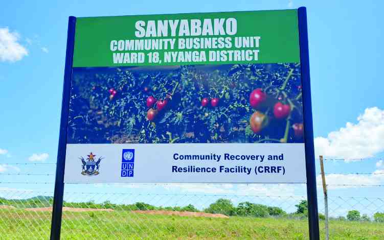 UNDP’s VBUs transform lives in rural Nyanga