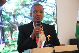 New boards for ZTA, Mosi-oa-Tunya