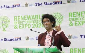 Zim targets clean energy by 2030