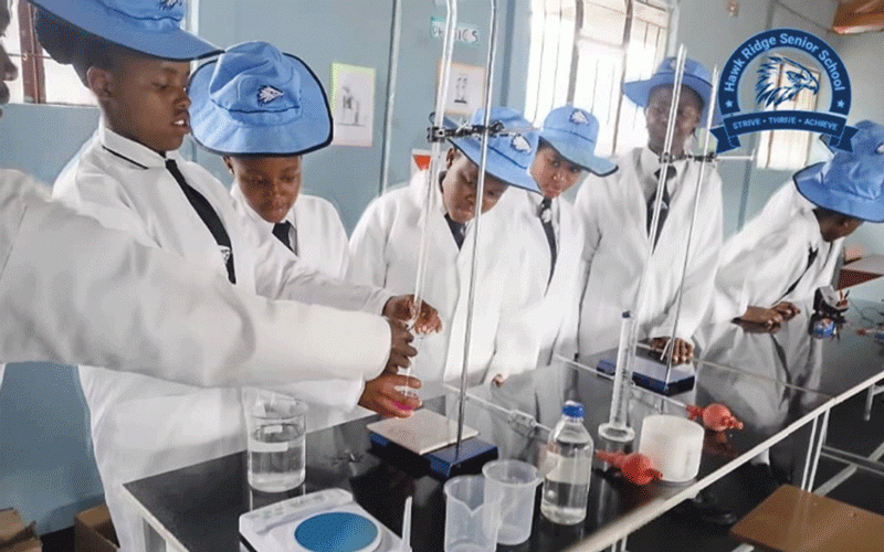 Academic Mafunga opens elite school in Marondera