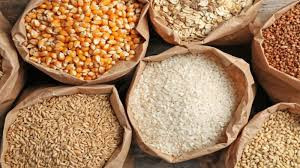 Zim eyes homegrown grains to cut US$2bn import bill