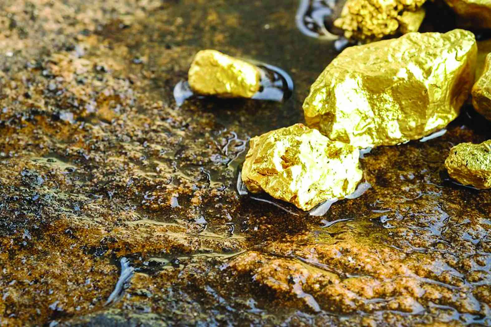 Gold is king again — but Zimbabwe must earn the crown