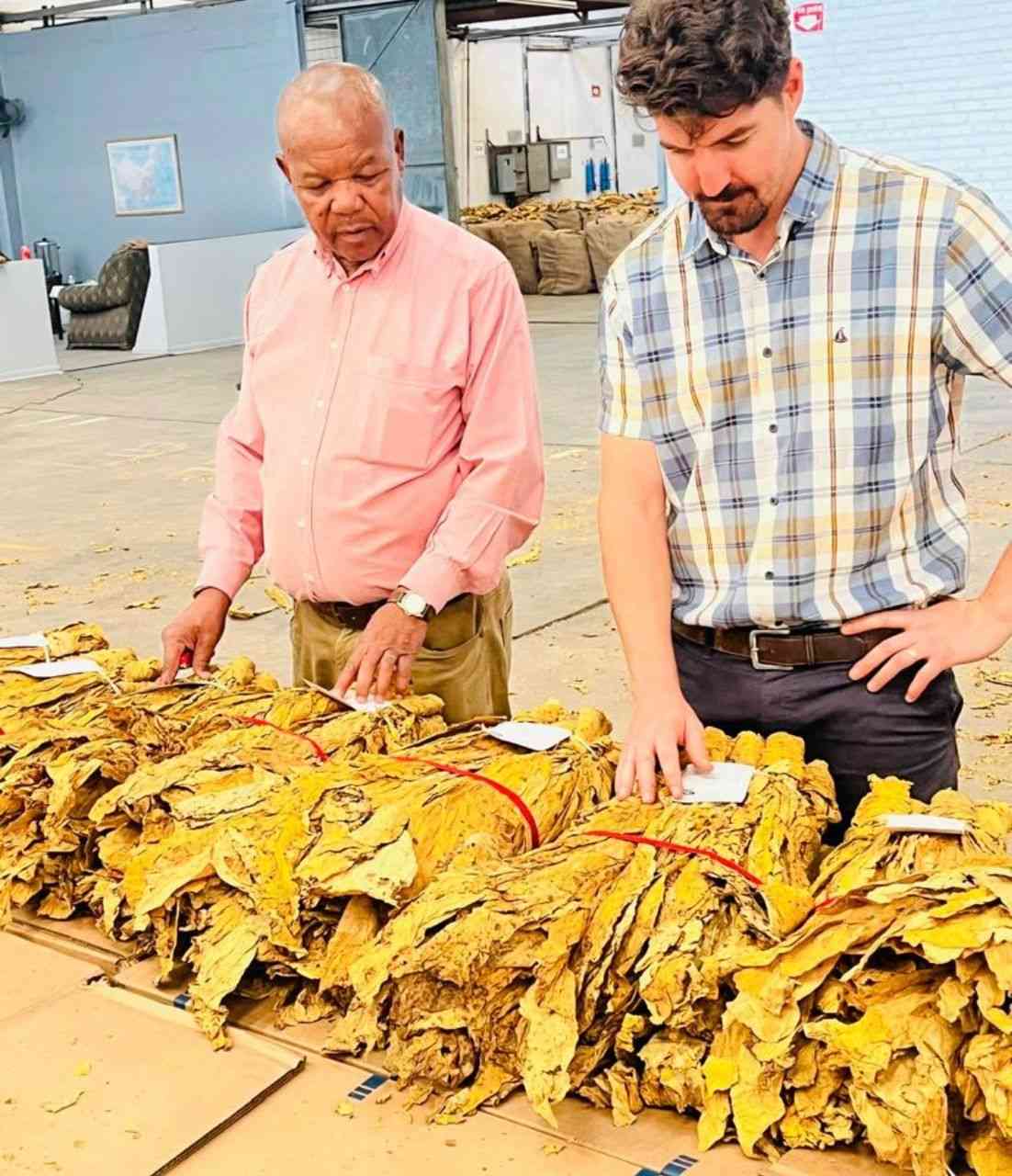 TIMB approves new tobacco grading system