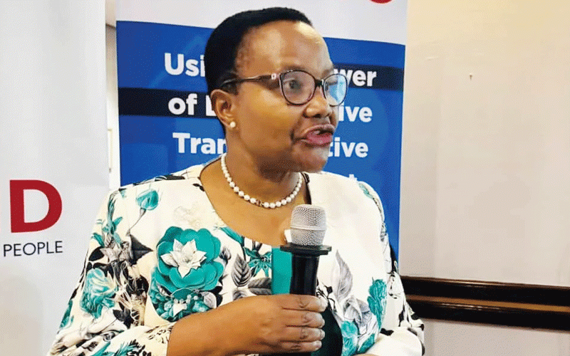 Clean audit caps ZimStat’s strong 2024