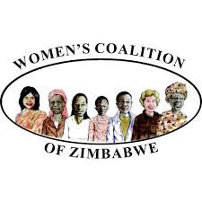 ‘Women missing in Zim’s water governance system’