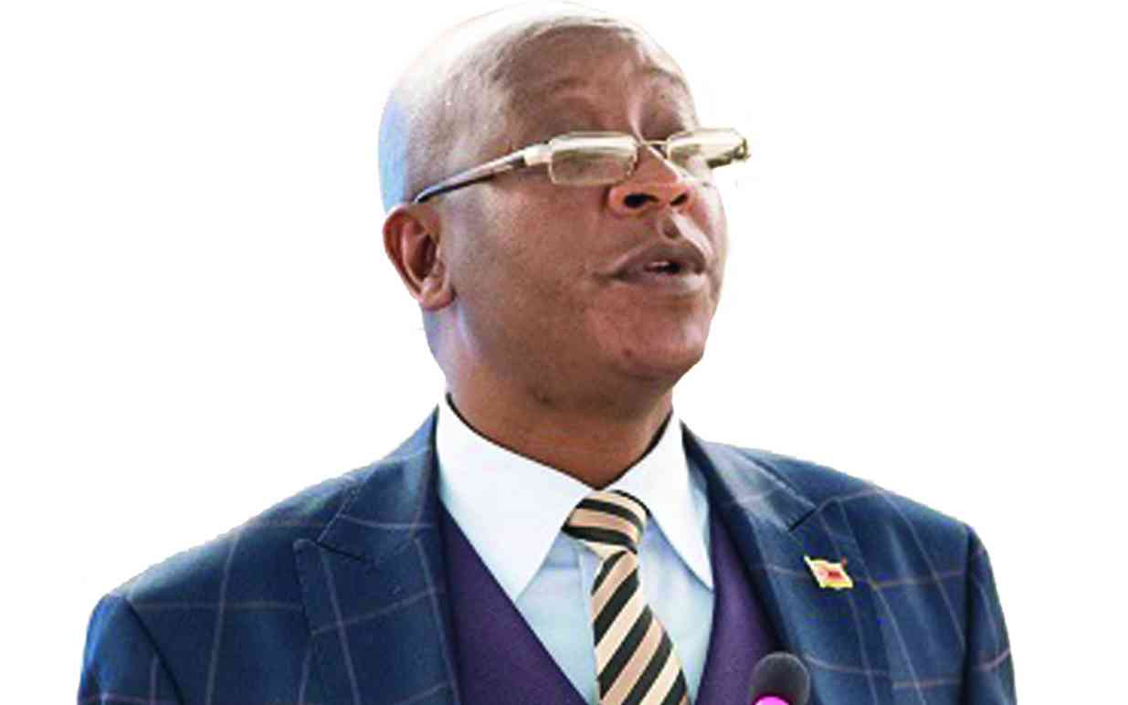 CSO doubts Ziyambi’s claims on diaspora vote