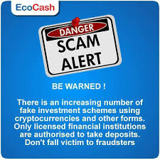 11 EcoCash scammers arrested