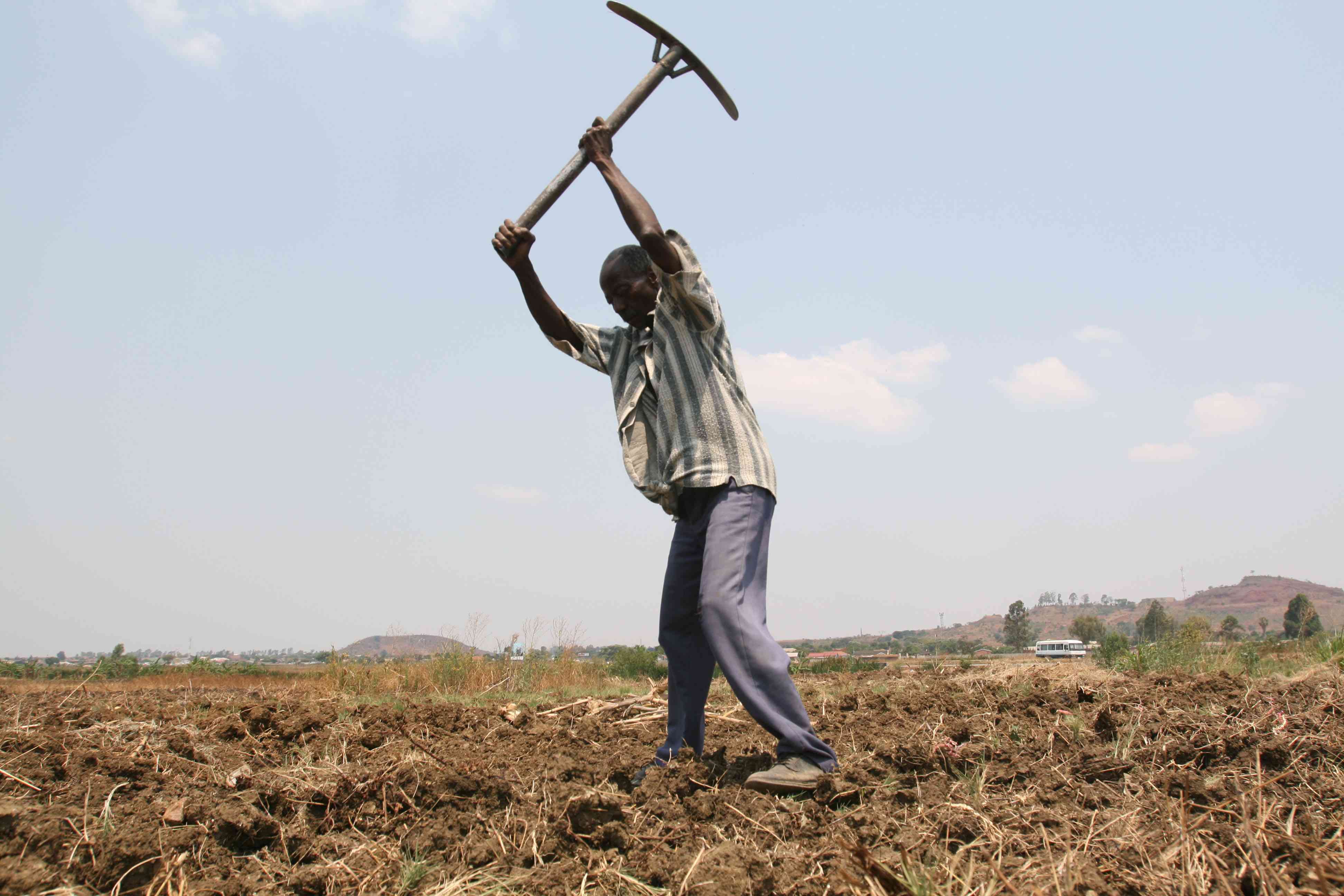 Inclusive farming transforms lives: Zim’s path to food security and equality