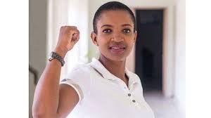 Rogue cops undermining  Zim’s tourism drive