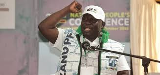 Zanu PF’s Boys DzaMdhara plot to grow support base