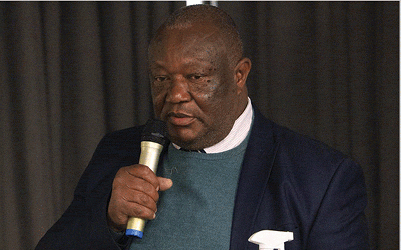 Empowerment programmes divide Zanu PF: Machacha