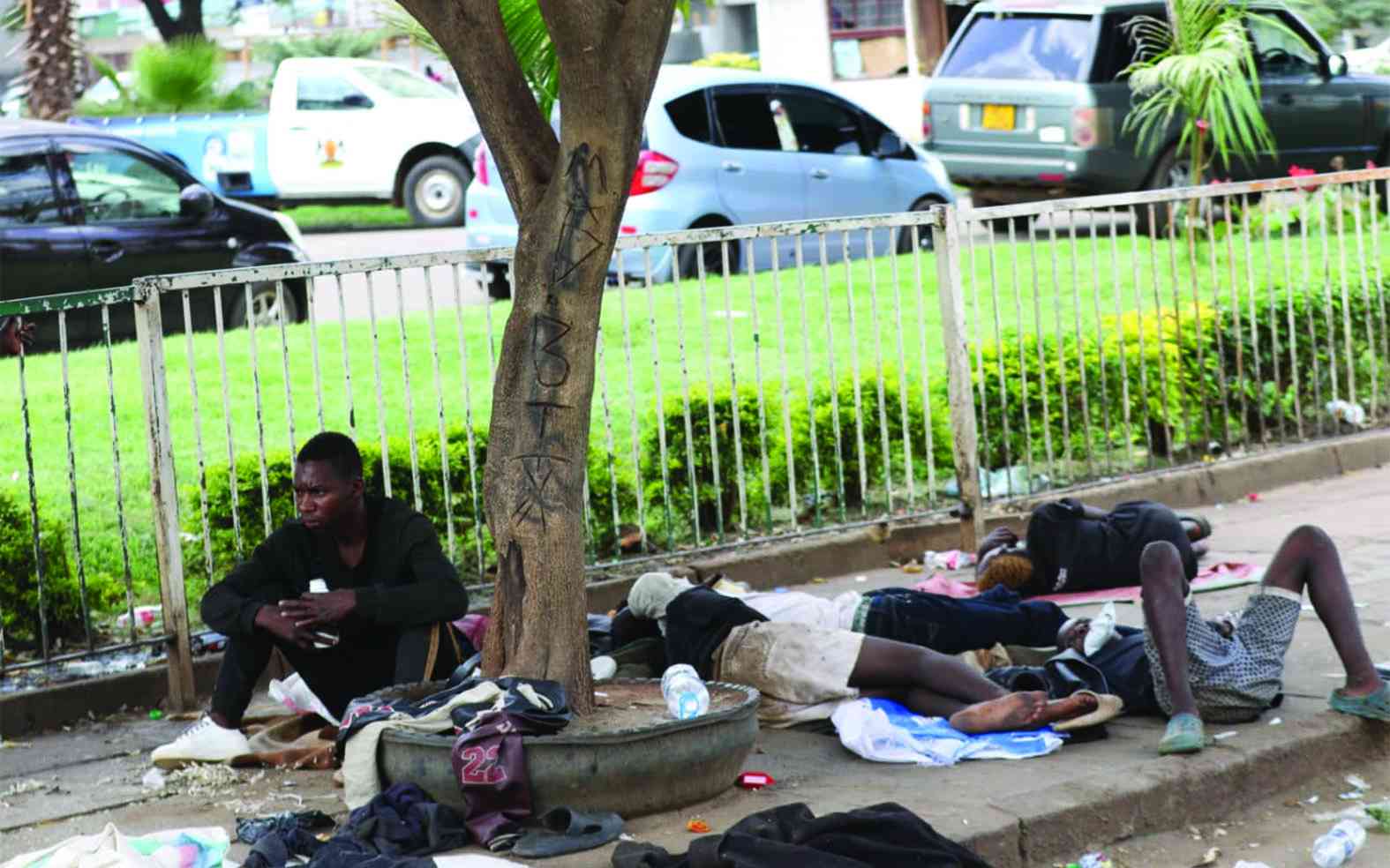 Up and about - NewsDay in Pictures