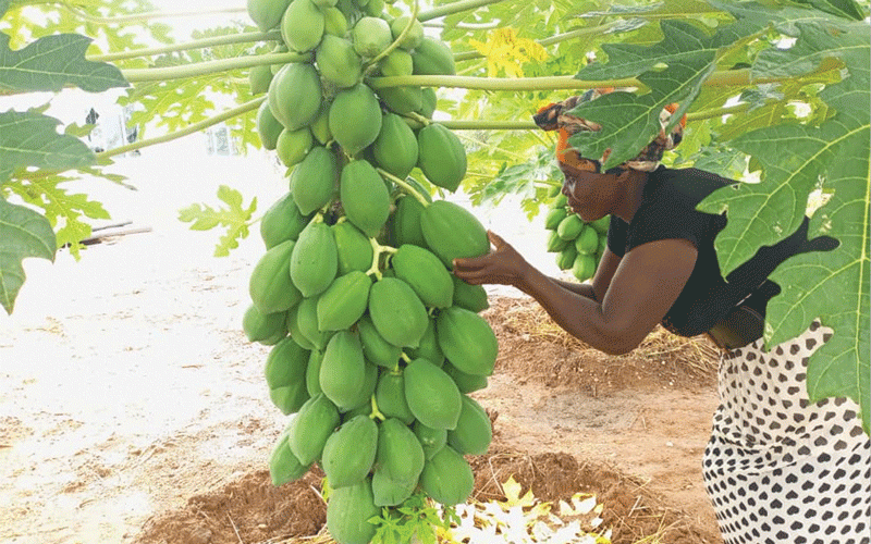 Light in darkness: The resilience of Siakobvu people