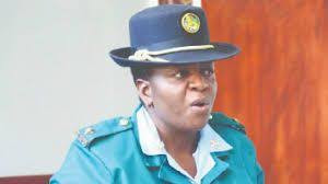 Police launch manhunt for missing toddler