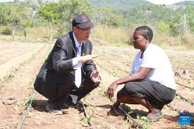 China-aided agric project transforms livelihoods