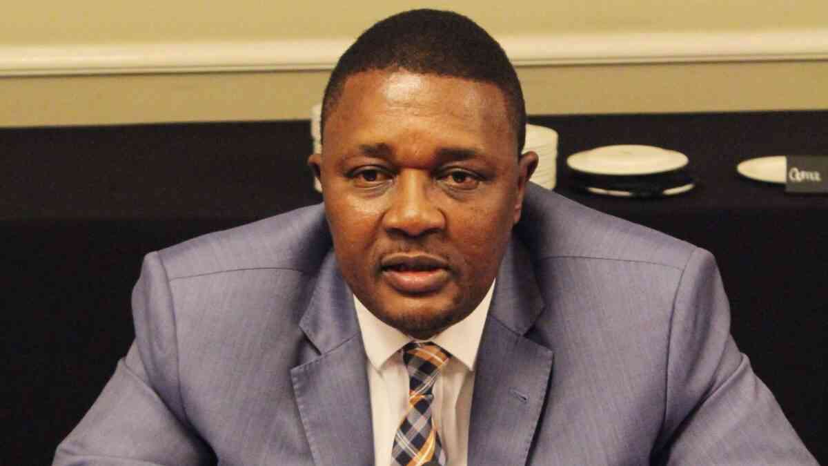 Ex-minister Mzembi loses freedom bid