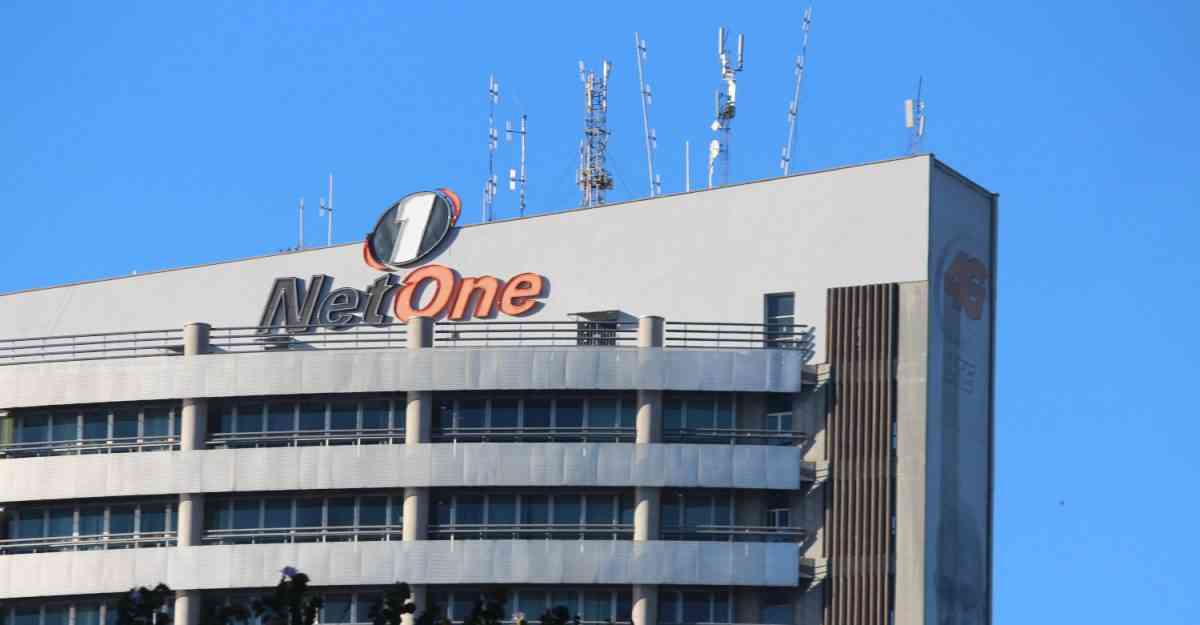 NetOne Emphasizes Environmental Sustainability in Clean-Up Campaign
