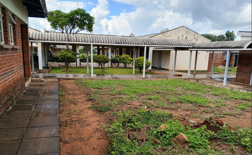 Mysterious disease alarms Kariba villagers