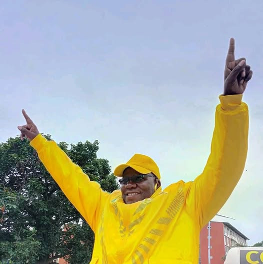 Biti arrest draws condemnation from SA’s DA, Zicomo 