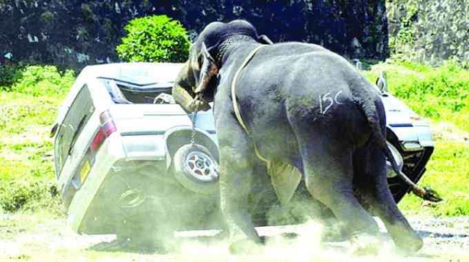 Human-wildlife conflict, habitat loss threaten KAZA