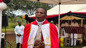 Apostolic sect backs Mnangagwa’s term extension