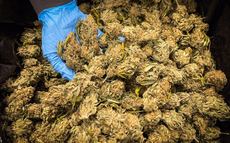 Police nab Singaporean businessman over cash, drugs stash 