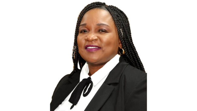 Mabiza’s ‘premature’ claim insults Zimbabweans’ intelligence