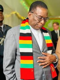 Zanu PF goes for broke as CAB3 hearings begin