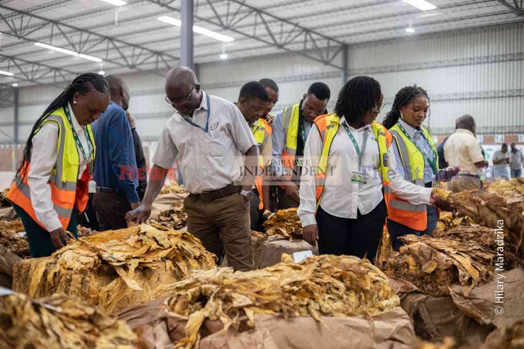 Farmers reject low tobacco prices as Zimbabwe selling season opens