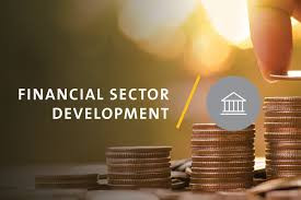 Financial sector reform: Zim bets on stability and inclusion