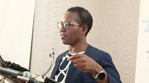 Govt urged to integrate ICTs in disaster preparedness