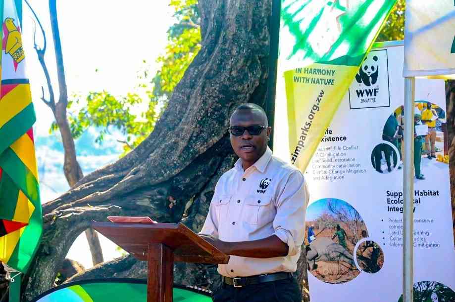 Communities key to Africa’s conservation success: WWF