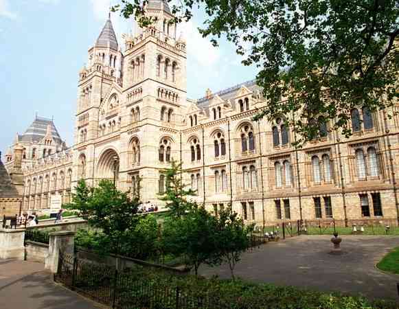 Descendants of Zimbabwe resistance heroes urge UK to locate looted skulls