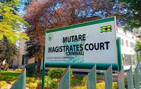 Mutare court releases Biti, Ncube on bail