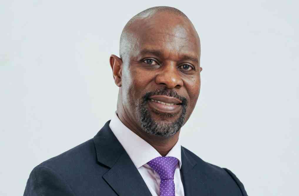 Ariston names Madziva CEO in shake-up