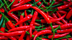 300K Zim farmers to benefit from chilli production