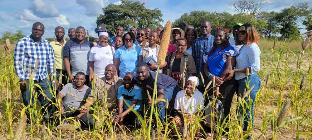 Traditional seed breeders ease climate change anxieties