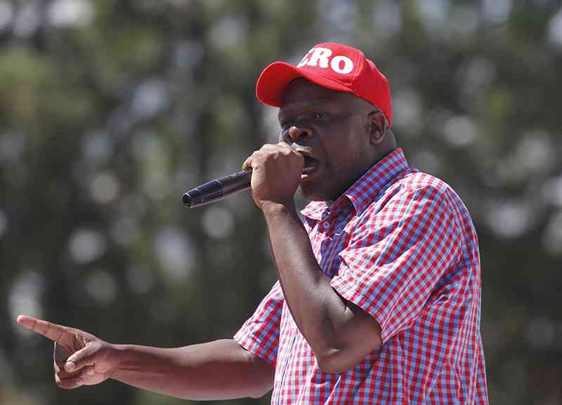 241 Witnesses, One Question: Can This Court Stop Mnangagwa's 2030 Agenda?