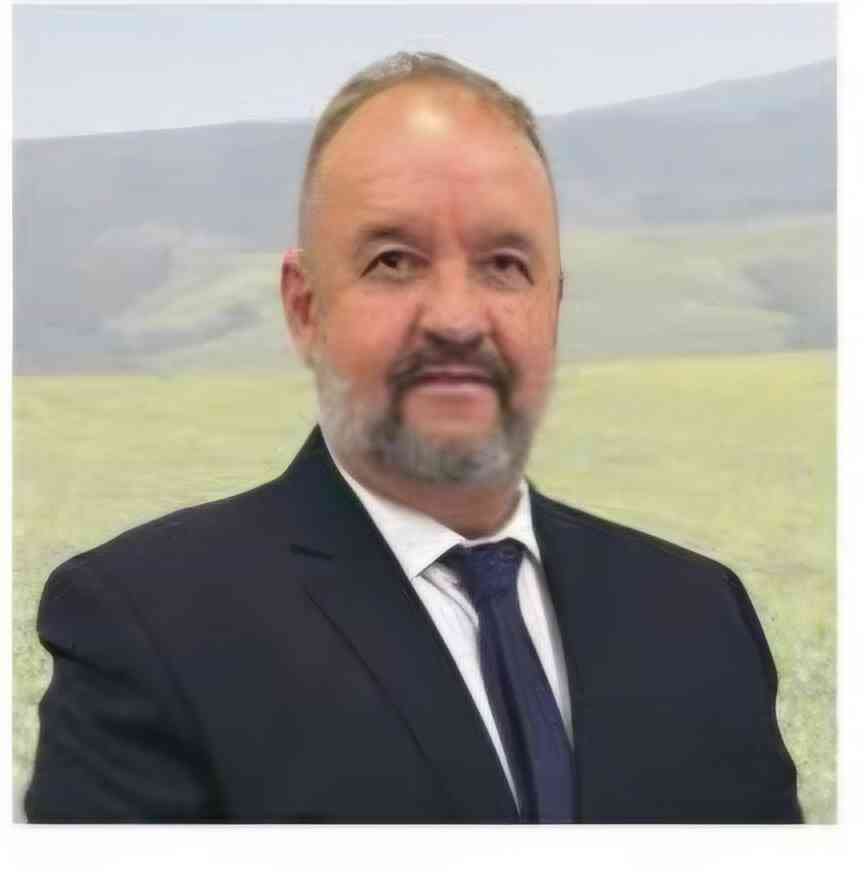 Ariston names Madziva CEO in shake-up