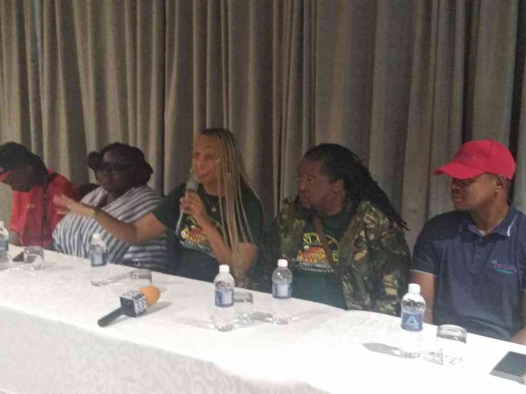 Alaine celebrates love, culture, unity in Harare debut