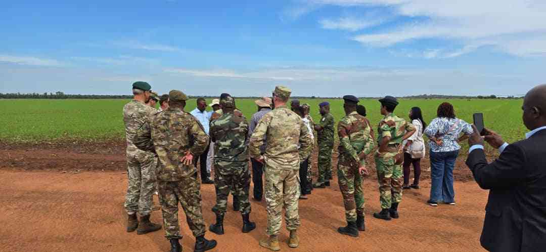 Foreign military attachés tour ARDA projects, hail Zimbabwe’s agricultural push
