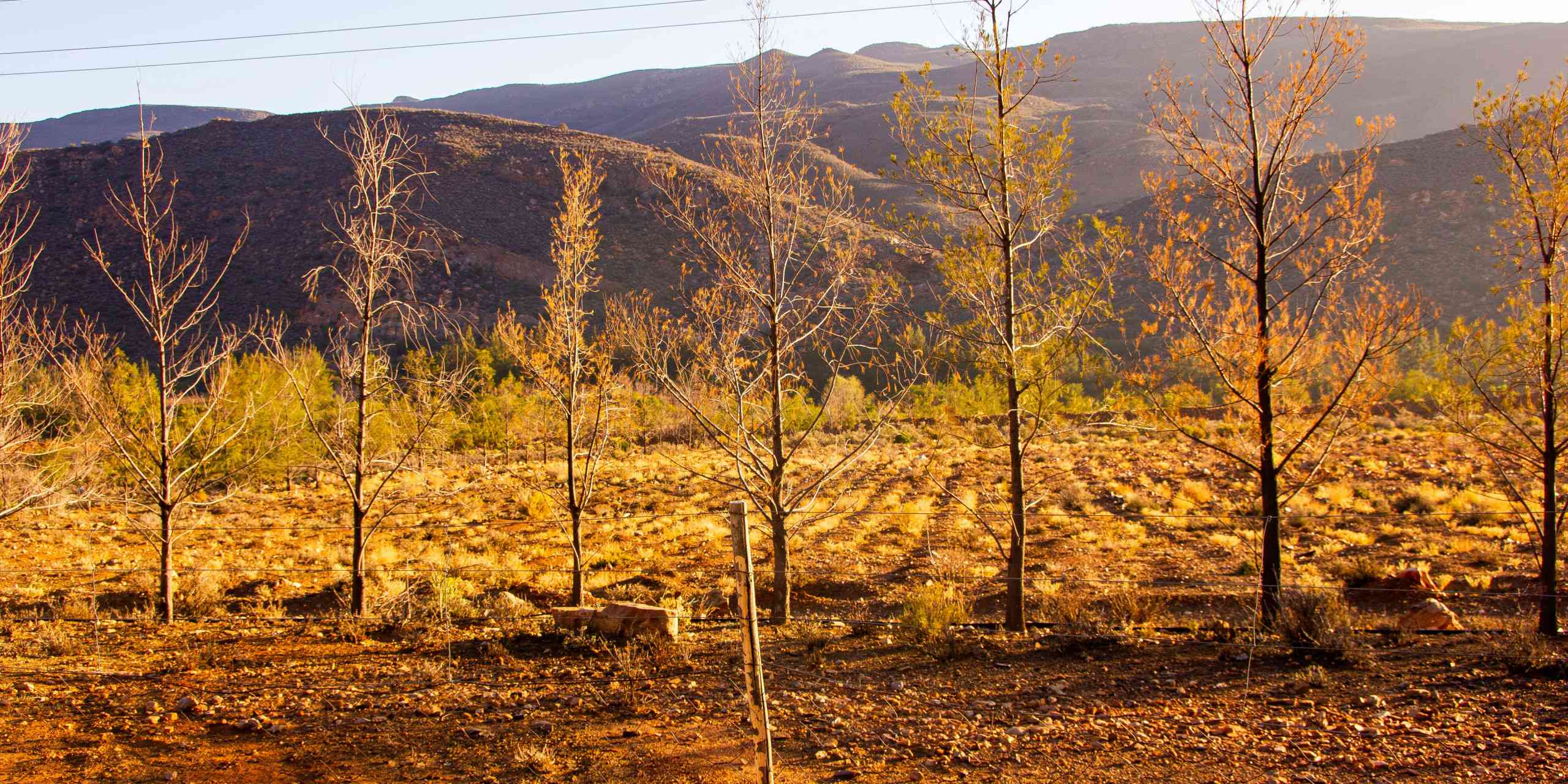 Zimbabwe’s Children Are Ready. Is the Policy?