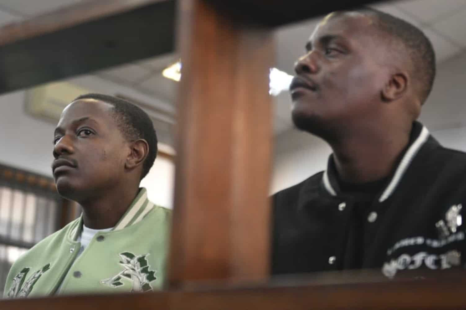 Mugabe’s son pleads guilty over Hyde Park shooting, immigration breaches