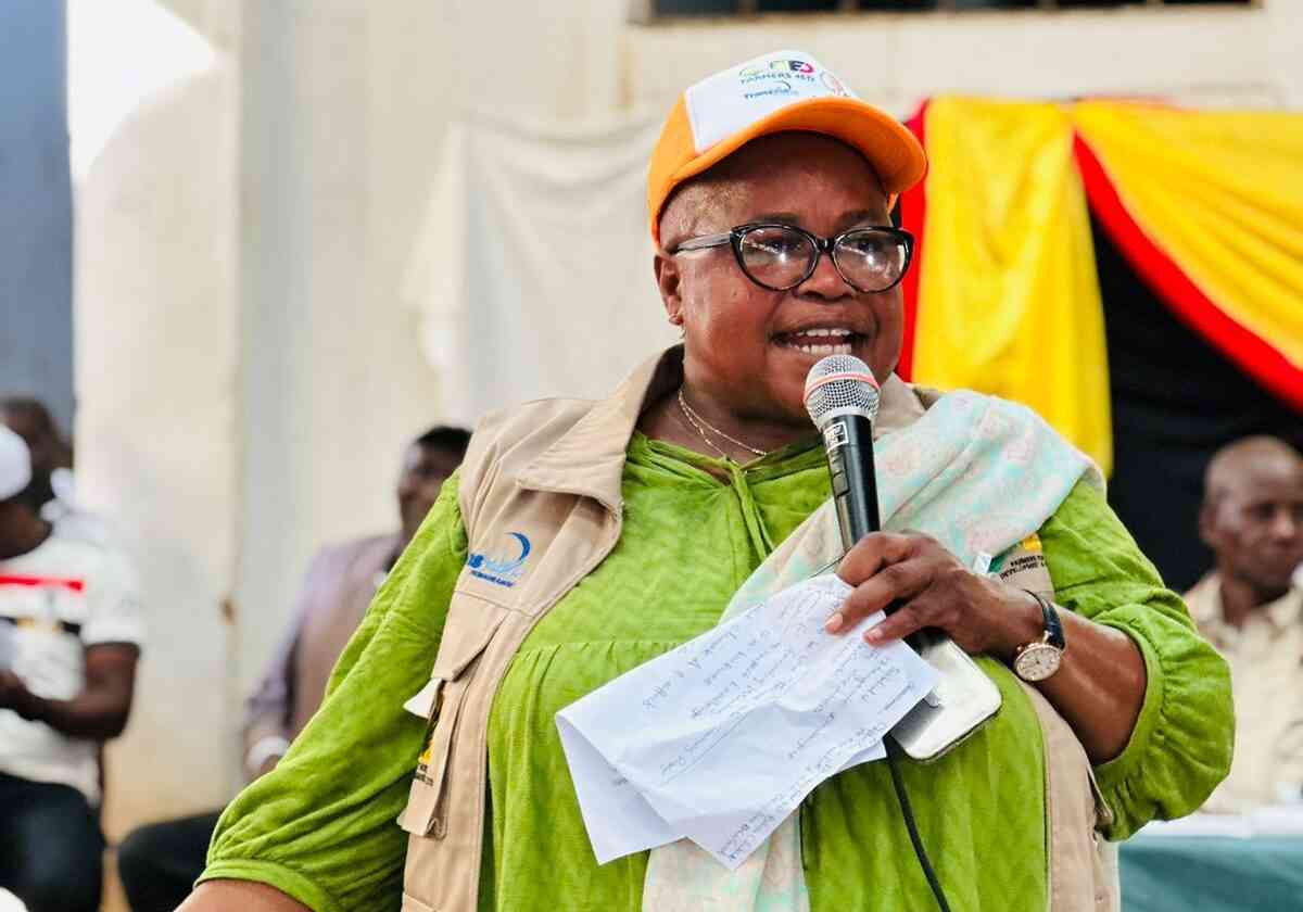 Farmers urged to diversify into turmeric as global markets boom