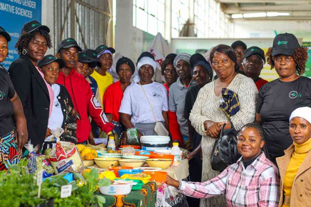 Harare to host Food for Life Festival spotlighting women in agriculture and entrepreneurship